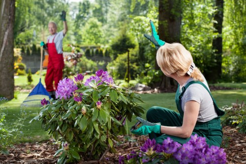 Carshalton gardeners maintaining a neat and colourful residential garden