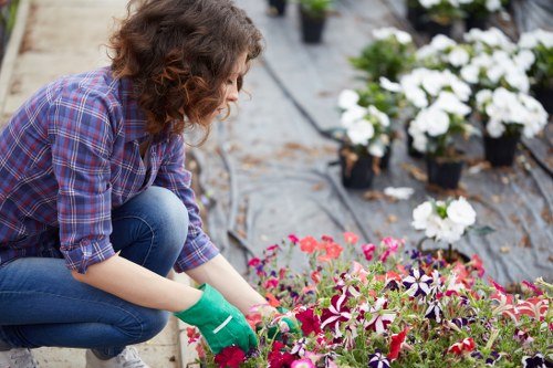 Local garden care in Carshalton with tidy borders and healthy planting