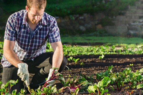 Cubic-yard estimate for green waste removal