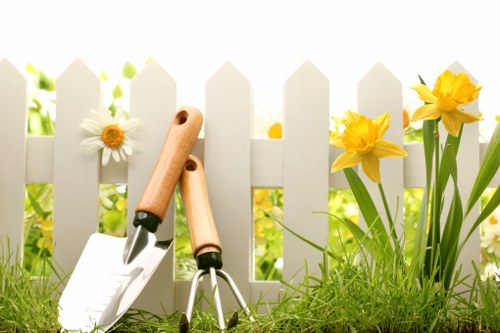 Dense hedge care in a Carshalton residential garden
