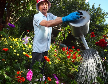 Load-based garden clearance rates in Carshalton