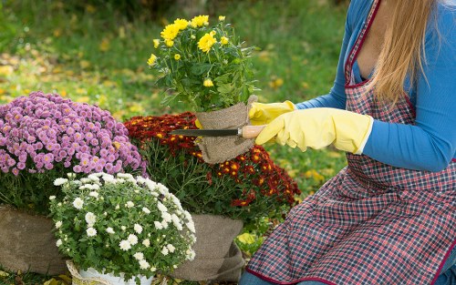 Professional gardening service following health and safety procedures