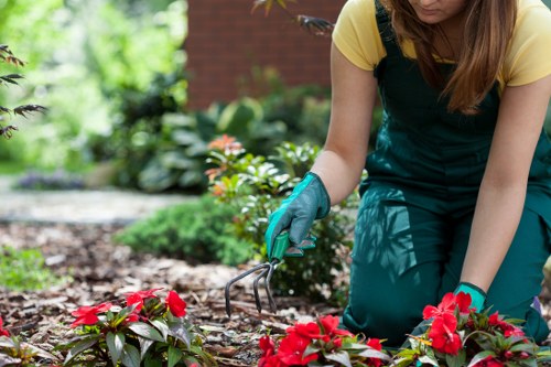 Sustainable gardening and recycling practices supporting greener Carshalton gardens