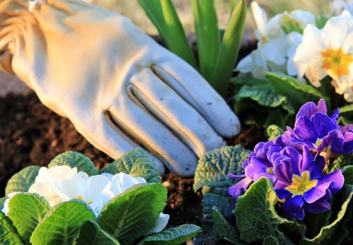 Soft landscaping with turf, shrubs, and flower beds in Carshalton