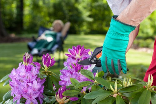 Hedge trimming and plant care in a Carshalton garden