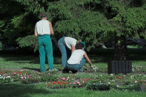 Fresh green garden lawn care in Carshalton