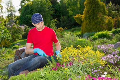 Image symbolising clear navigation for Carshalton gardening information