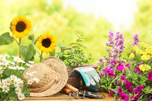Free quote discussion for local gardening services