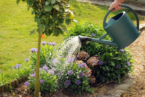 Professional gardeners Carshalton creating an attractive and balanced garden