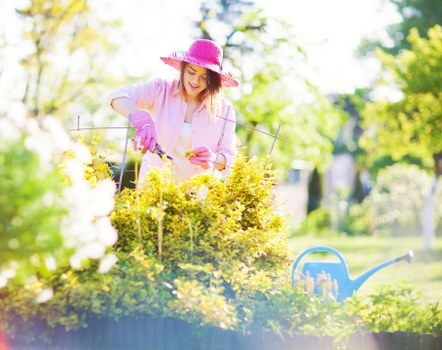 Professional lawn mowing setup for a Carshalton property