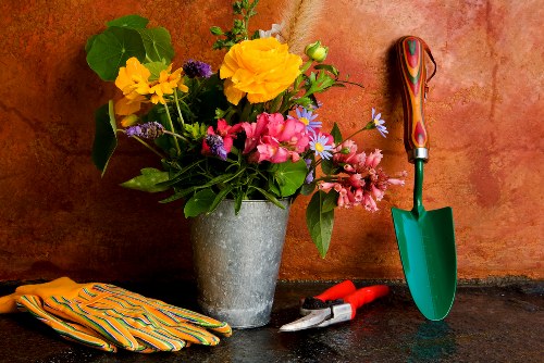 Booking and payment terms for a gardening service