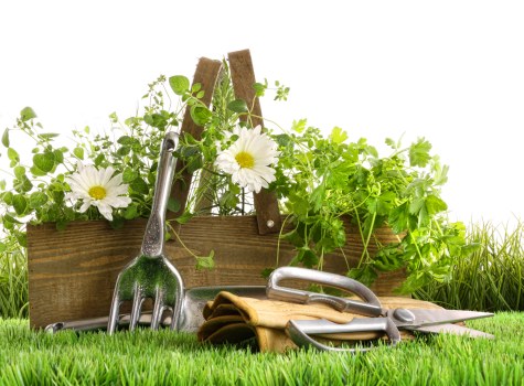 Visual representing keyboard-accessible browsing for Carshalton gardeners