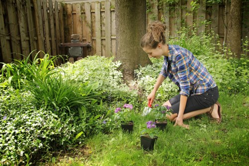 Local gardening team in Carshalton shaping healthy outdoor spaces