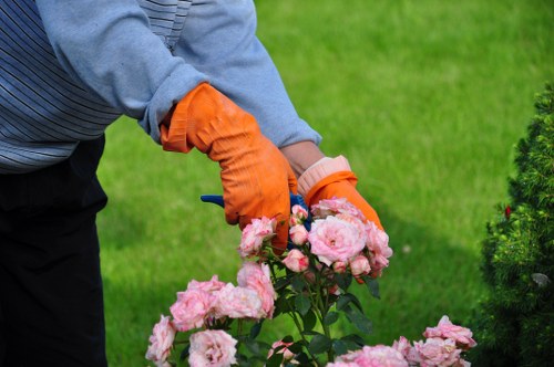Soft landscaping and garden improvement in Carshalton