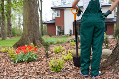 Gardeners in Carshalton improving a well-kept outdoor space
