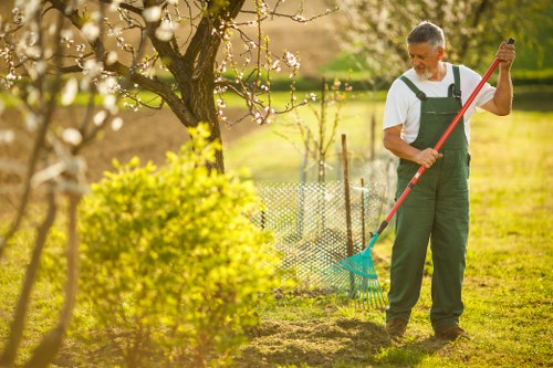 Professional tree surgery for overgrown trees in Carshalton