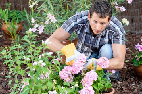 Risk assessment and safety checks before garden work in Carshalton