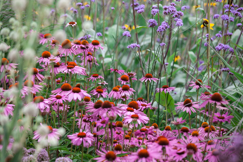 garden design landscape design